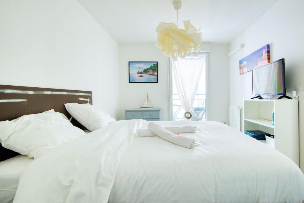 Appartement Super T2 Climatise Avec Balcon A Pied Catalan Marseille